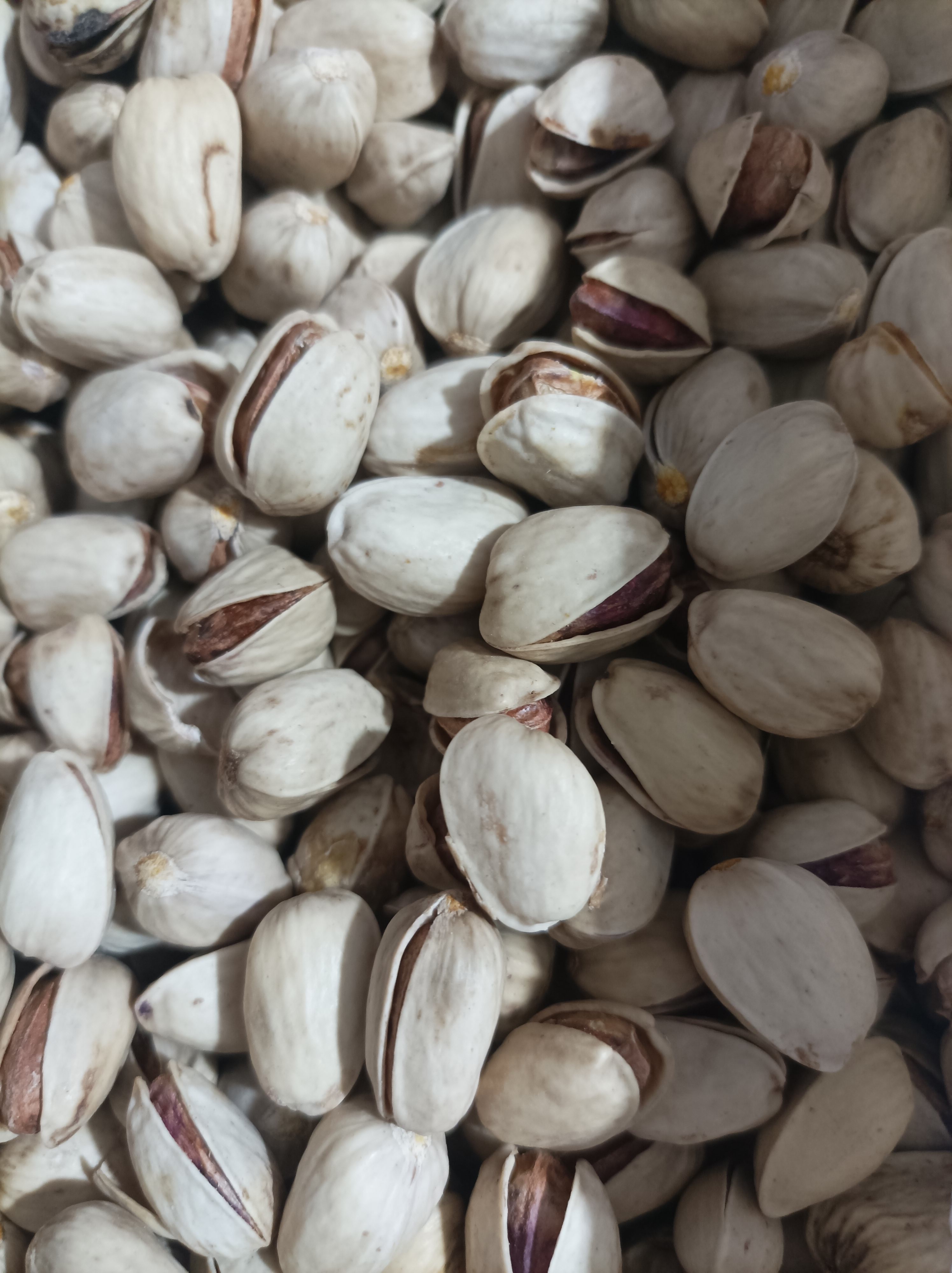 پسته کله قوچی