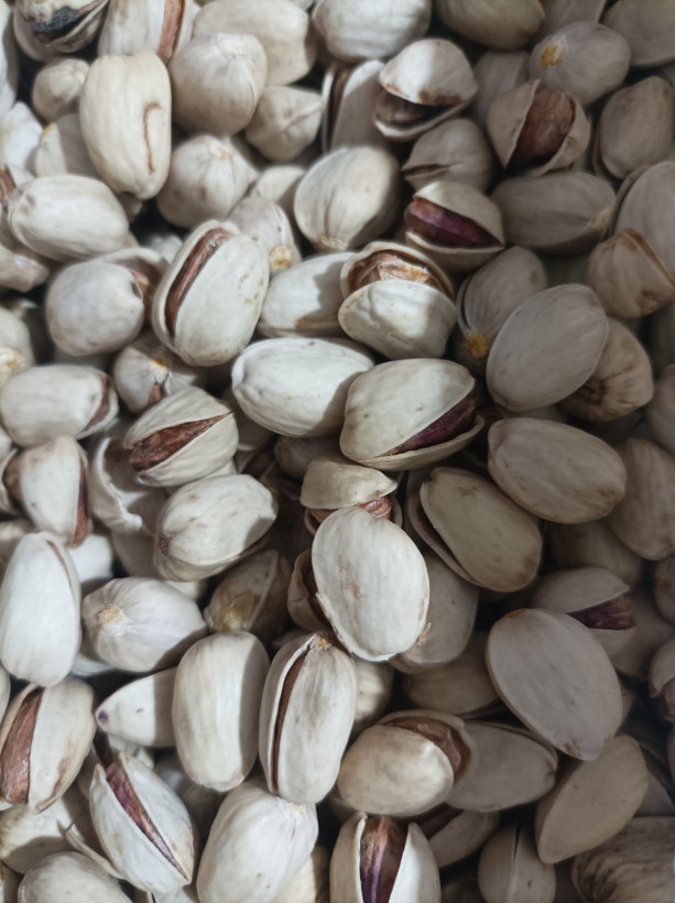 پسته کله قوچی
